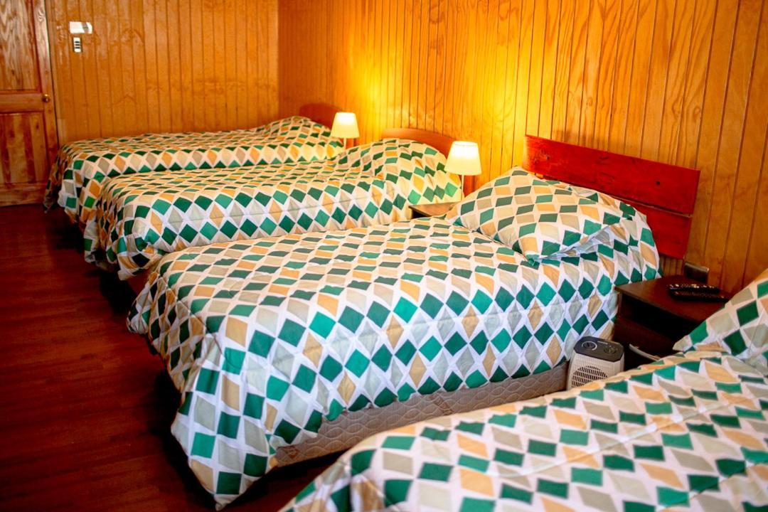 Roble Austral Hostal コイハイケ エクステリア 写真