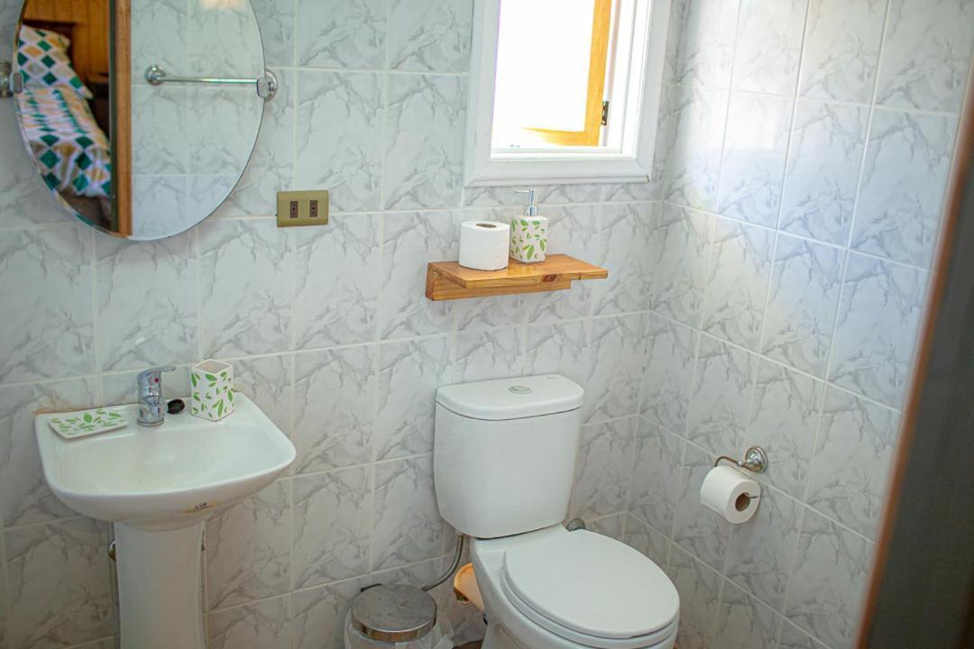 Roble Austral Hostal コイハイケ エクステリア 写真
