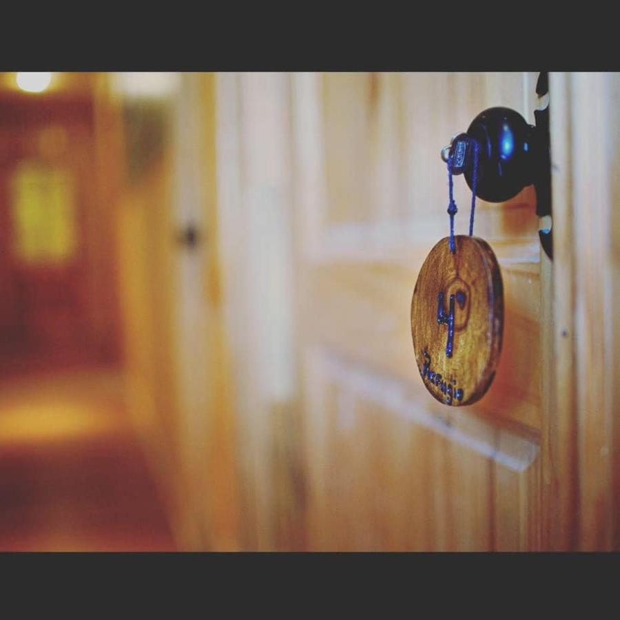 Roble Austral Hostal コイハイケ エクステリア 写真