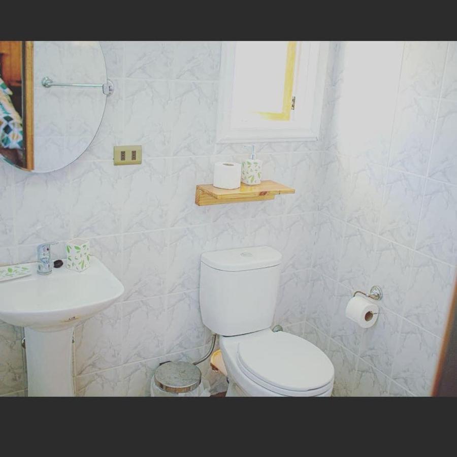 Roble Austral Hostal コイハイケ エクステリア 写真